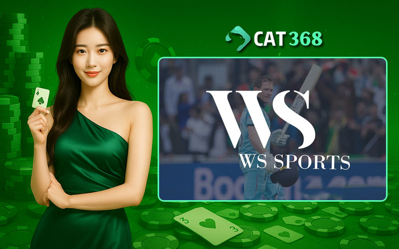 Giới thiệu về sảnh thể thao WS Sport nhà cái Cat368
