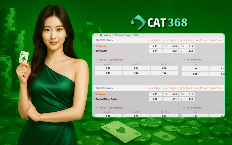 Bí kíp chơi cá cược tăng lợi nhuận
